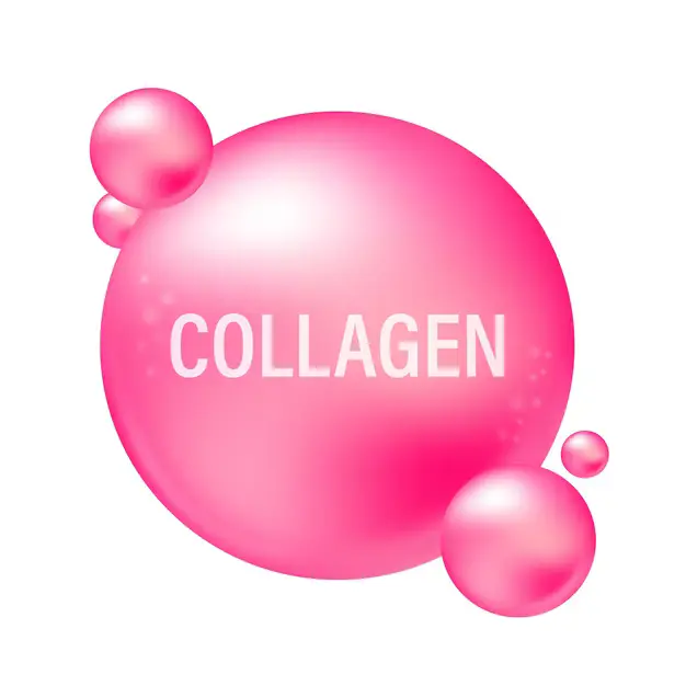 Type I, V, X Collagen