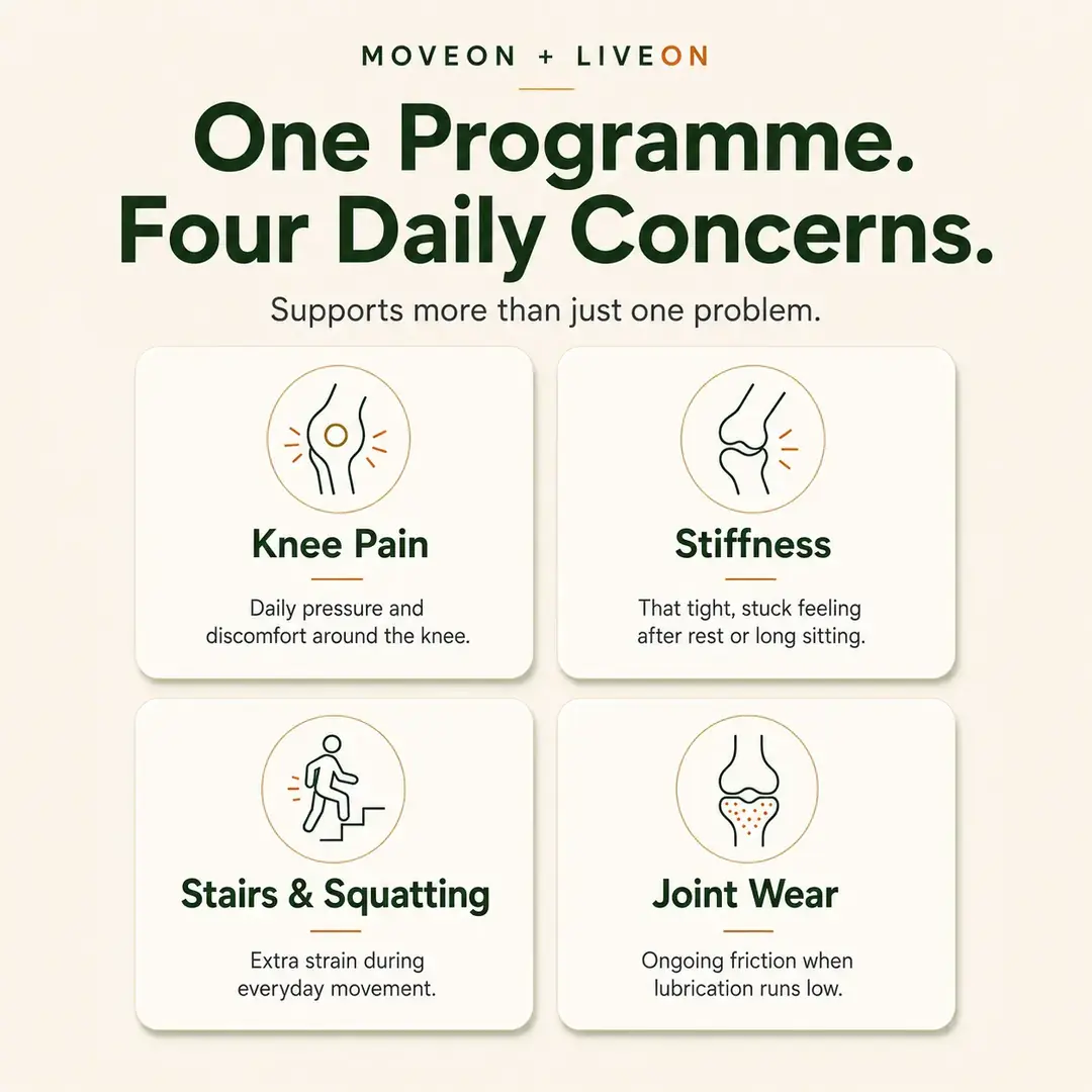 MoveOn product image 2