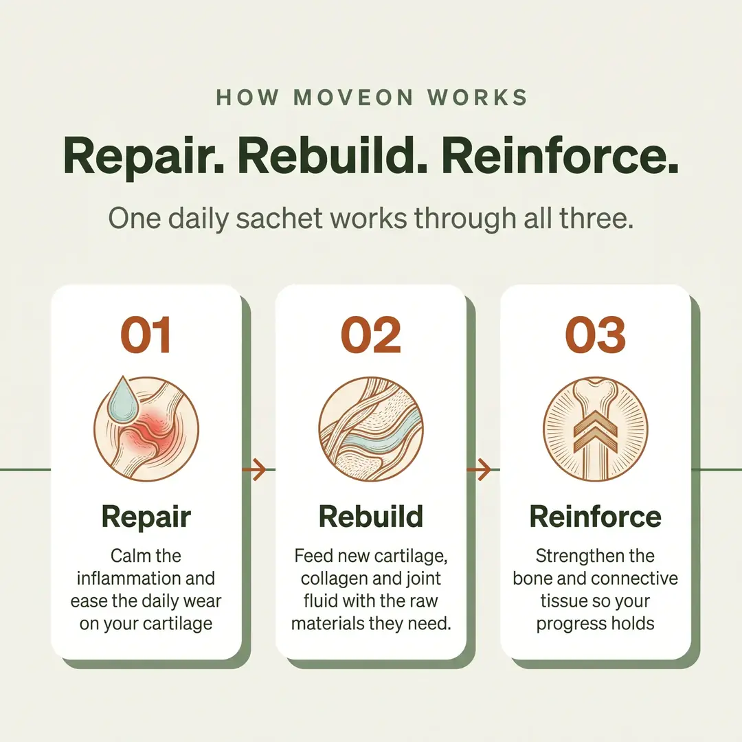 MoveOn product image 6
