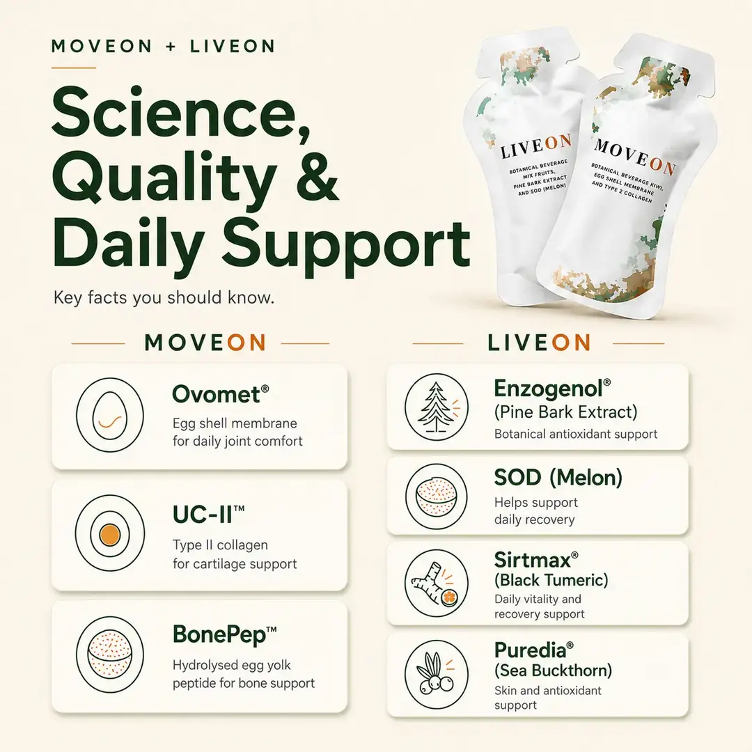 MoveOn product image 7